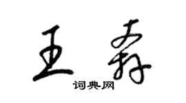 梁錦英王奔草書個性簽名怎么寫