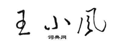 駱恆光王小風草書個性簽名怎么寫