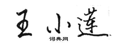 駱恆光王小蓮行書個性簽名怎么寫