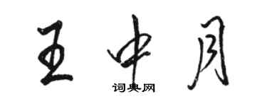 駱恆光王中月行書個性簽名怎么寫