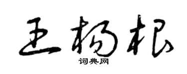 曾慶福王楊根草書個性簽名怎么寫