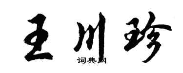 胡問遂王川珍行書個性簽名怎么寫