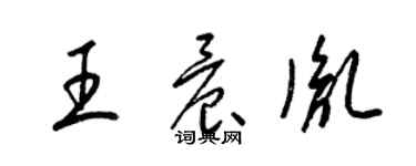 梁錦英王晨胤草書個性簽名怎么寫