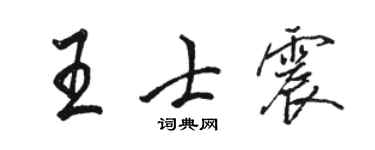 駱恆光王士震行書個性簽名怎么寫