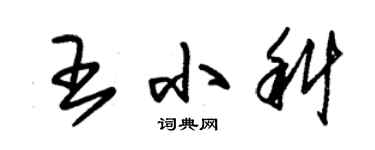 朱錫榮王小科草書個性簽名怎么寫