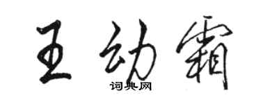 駱恆光王幼霜行書個性簽名怎么寫