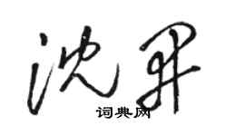 駱恆光沈開草書個性簽名怎么寫