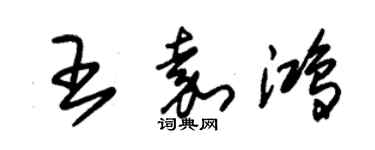 朱錫榮王嘉鴻草書個性簽名怎么寫