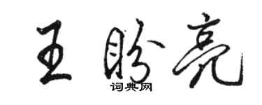 駱恆光王盼亮行書個性簽名怎么寫