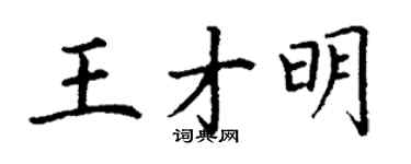 丁謙王才明楷書個性簽名怎么寫