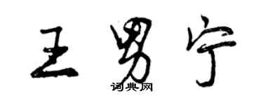 曾慶福王男寧行書個性簽名怎么寫