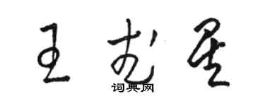 駱恆光王武星草書個性簽名怎么寫