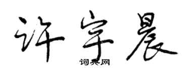 曾慶福許宇晨行書個性簽名怎么寫