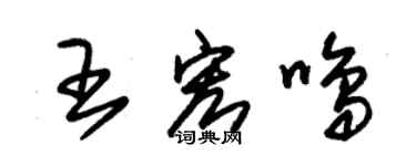 朱錫榮王宏鳴草書個性簽名怎么寫