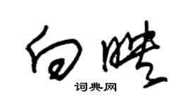 朱錫榮向映草書個性簽名怎么寫