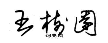 朱錫榮王樹園草書個性簽名怎么寫