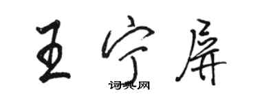 駱恆光王寧屏行書個性簽名怎么寫