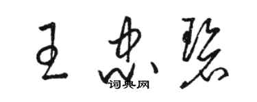 駱恆光王忠碧草書個性簽名怎么寫