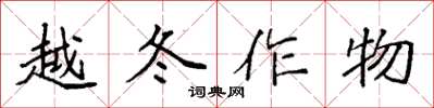 袁強越冬作物楷書怎么寫