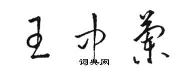 駱恆光王中蘭草書個性簽名怎么寫