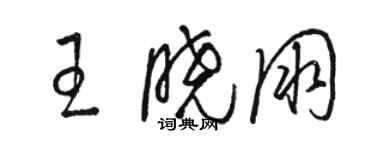 駱恆光王曉朋草書個性簽名怎么寫