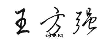 駱恆光王方強行書個性簽名怎么寫