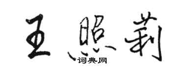 駱恆光王照莉行書個性簽名怎么寫