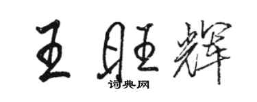 駱恆光王旺輝行書個性簽名怎么寫