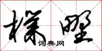 朱錫榮樸野草書怎么寫