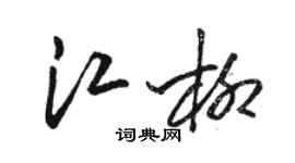 駱恆光江柳草書個性簽名怎么寫