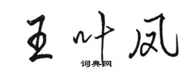 駱恆光王葉鳳行書個性簽名怎么寫