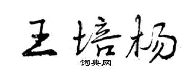 曾慶福王培楊行書個性簽名怎么寫
