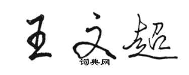 駱恆光王文超行書個性簽名怎么寫