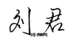 駱恆光劉君行書個性簽名怎么寫