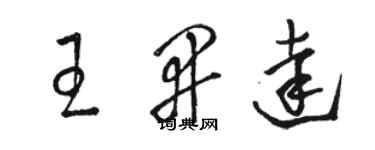 駱恆光王開達草書個性簽名怎么寫