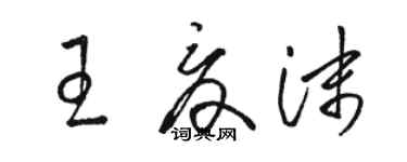 駱恆光王夏沫草書個性簽名怎么寫