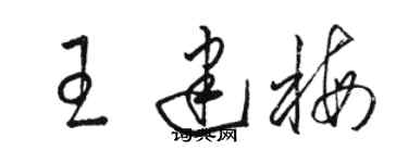 駱恆光王建梅草書個性簽名怎么寫