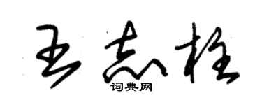 朱錫榮王志柱草書個性簽名怎么寫