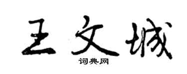 曾慶福王文城行書個性簽名怎么寫
