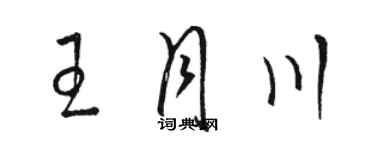 駱恆光王月川草書個性簽名怎么寫