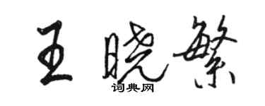 駱恆光王曉繁行書個性簽名怎么寫