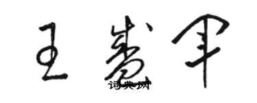 駱恆光王盛軍草書個性簽名怎么寫