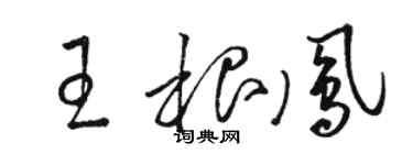 駱恆光王根鳳草書個性簽名怎么寫