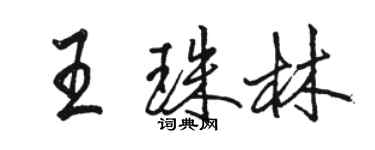 駱恆光王珠林行書個性簽名怎么寫