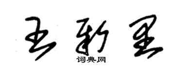 朱錫榮王新里草書個性簽名怎么寫