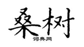 丁謙桑樹楷書個性簽名怎么寫