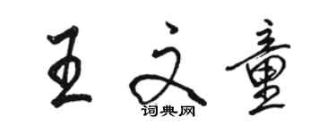 駱恆光王文童行書個性簽名怎么寫