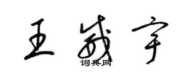 梁錦英王威宇草書個性簽名怎么寫