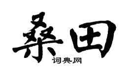 翁闓運桑田楷書個性簽名怎么寫