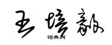 朱錫榮王培毅草書個性簽名怎么寫